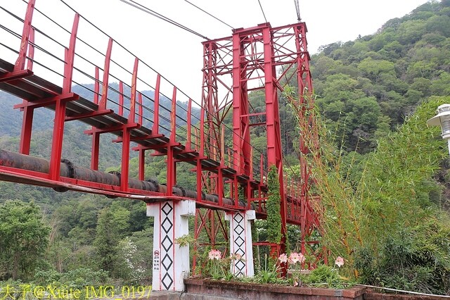 IMG_0197.jpg - 20230421 萬豐曲冰 IMG_0197.jpg - 20230421 萬豐曲冰