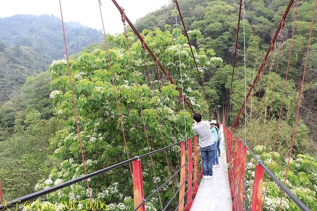 IMG_0206.jpg - 20230421 萬豐曲冰 IMG_0206.jpg - 20230421 萬豐曲冰