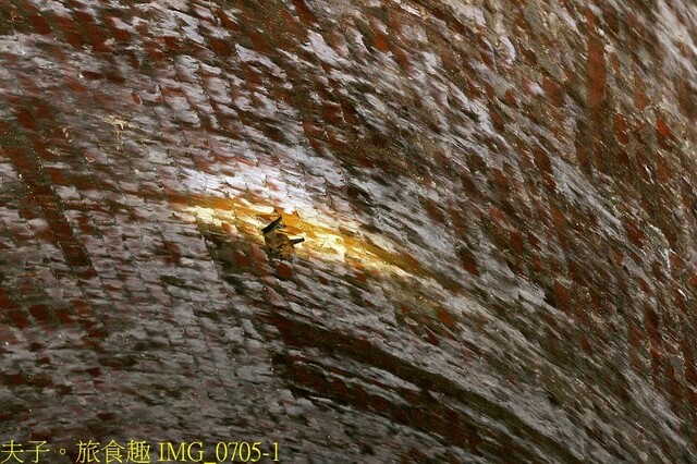 IMG_0705-1.jpg - 20230419 中正卡度 IMG_0705-1.jpg - 20230419 中正卡度