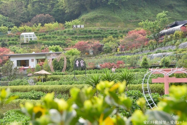 【2023竹子湖海芋季】 曹家花田香 花藝地景「獨旅．偶遇」穿和服拍美照 午茶甜點 繡球花即將登場 來一段浪漫的旅程吧 !