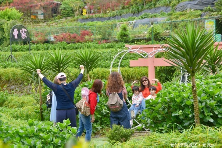 【2023竹子湖海芋季】 曹家花田香 花藝地景「獨旅．偶遇」穿和服拍美照 午茶甜點 繡球花即將登場 來一段浪漫的旅程吧 !