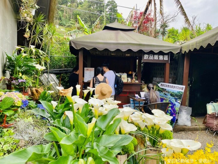 【2023竹子湖海芋季】 曹家花田香 花藝地景「獨旅．偶遇」穿和服拍美照 午茶甜點 繡球花即將登場 來一段浪漫的旅程吧 !