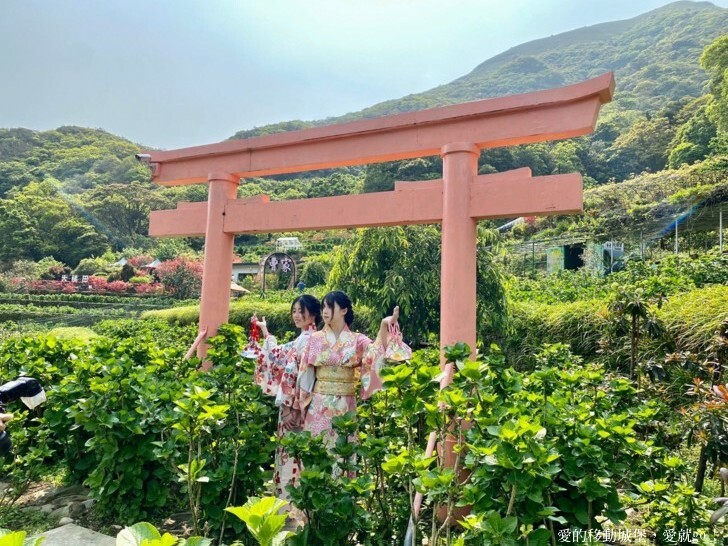 【2023竹子湖海芋季】 曹家花田香 花藝地景「獨旅．偶遇」穿和服拍美照 午茶甜點 繡球花即將登場 來一段浪漫的旅程吧 !