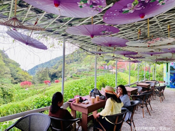 【2023竹子湖海芋季】 曹家花田香 花藝地景「獨旅．偶遇」穿和服拍美照 午茶甜點 繡球花即將登場 來一段浪漫的旅程吧 !