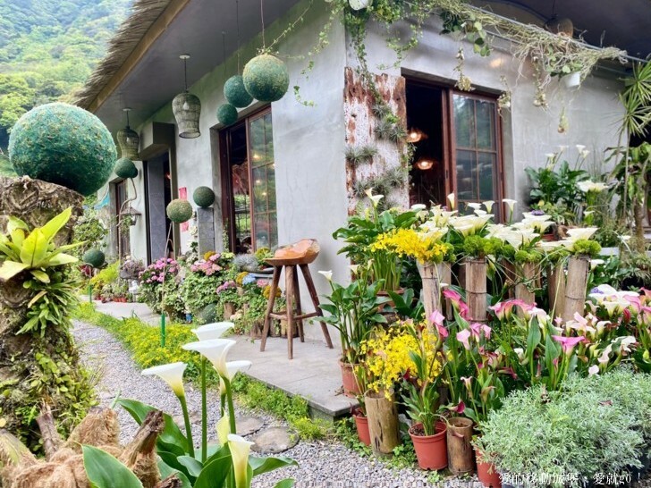 【2023竹子湖海芋季】 曹家花田香 花藝地景「獨旅．偶遇」穿和服拍美照 午茶甜點 繡球花即將登場 來一段浪漫的旅程吧 !