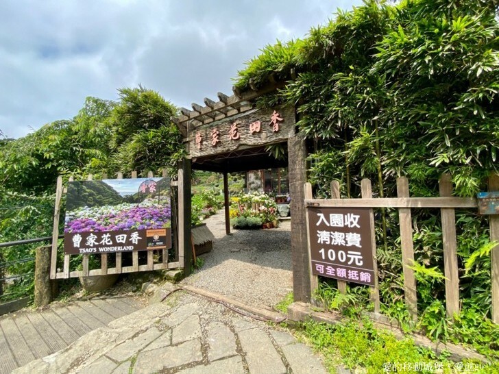 【2023竹子湖海芋季】 曹家花田香 花藝地景「獨旅．偶遇」穿和服拍美照 午茶甜點 繡球花即將登場 來一段浪漫的旅程吧 !