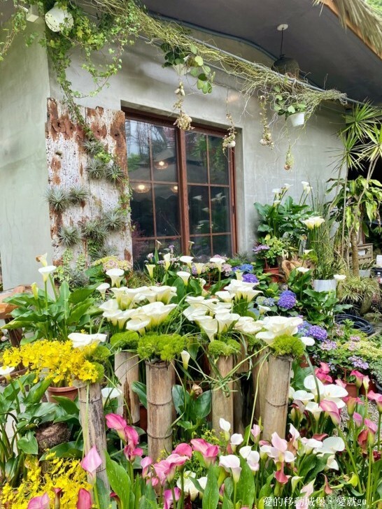 【2023竹子湖海芋季】 曹家花田香 花藝地景「獨旅．偶遇」穿和服拍美照 午茶甜點 繡球花即將登場 來一段浪漫的旅程吧 !