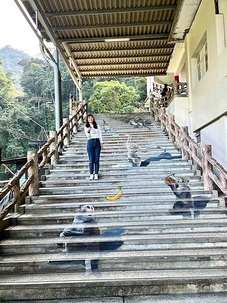 新北市烏來區景點推薦/新北烏來雲仙樂園一日遊/小型森林遊樂區/套票買起來經濟實惠、纜車、風味餐、射箭&漆