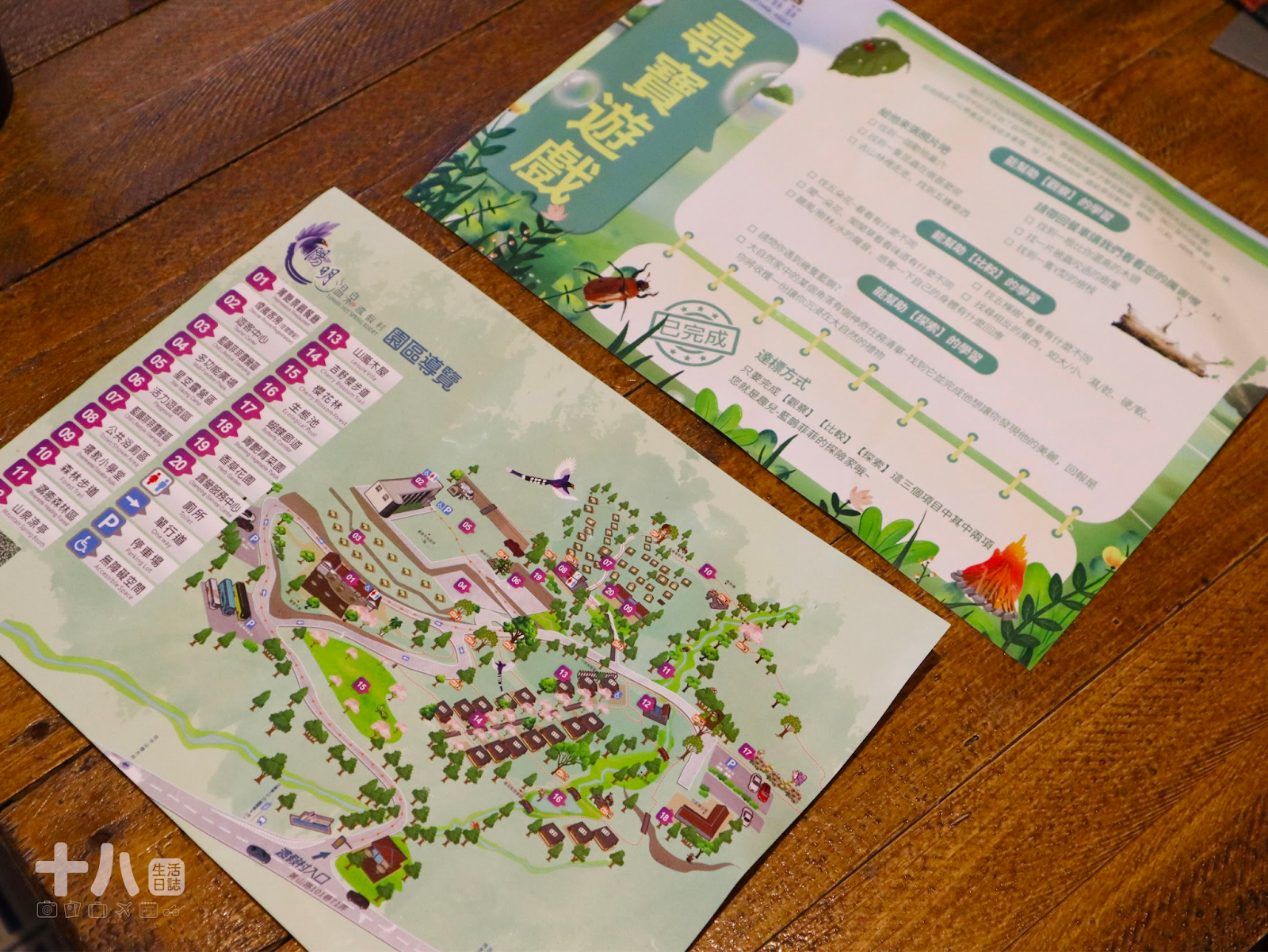 【台北旅遊】趣兒Chill:藍鵲菲菲|在陽明山上享受森活、遠眺台北夜景、體驗豪華露營一泊二食