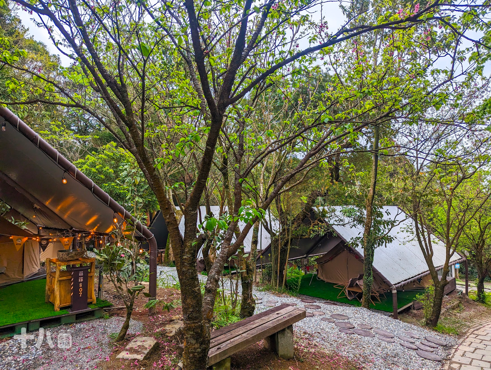 【台北旅遊】趣兒Chill:藍鵲菲菲|在陽明山上享受森活、遠眺台北夜景、體驗豪華露營一泊二食