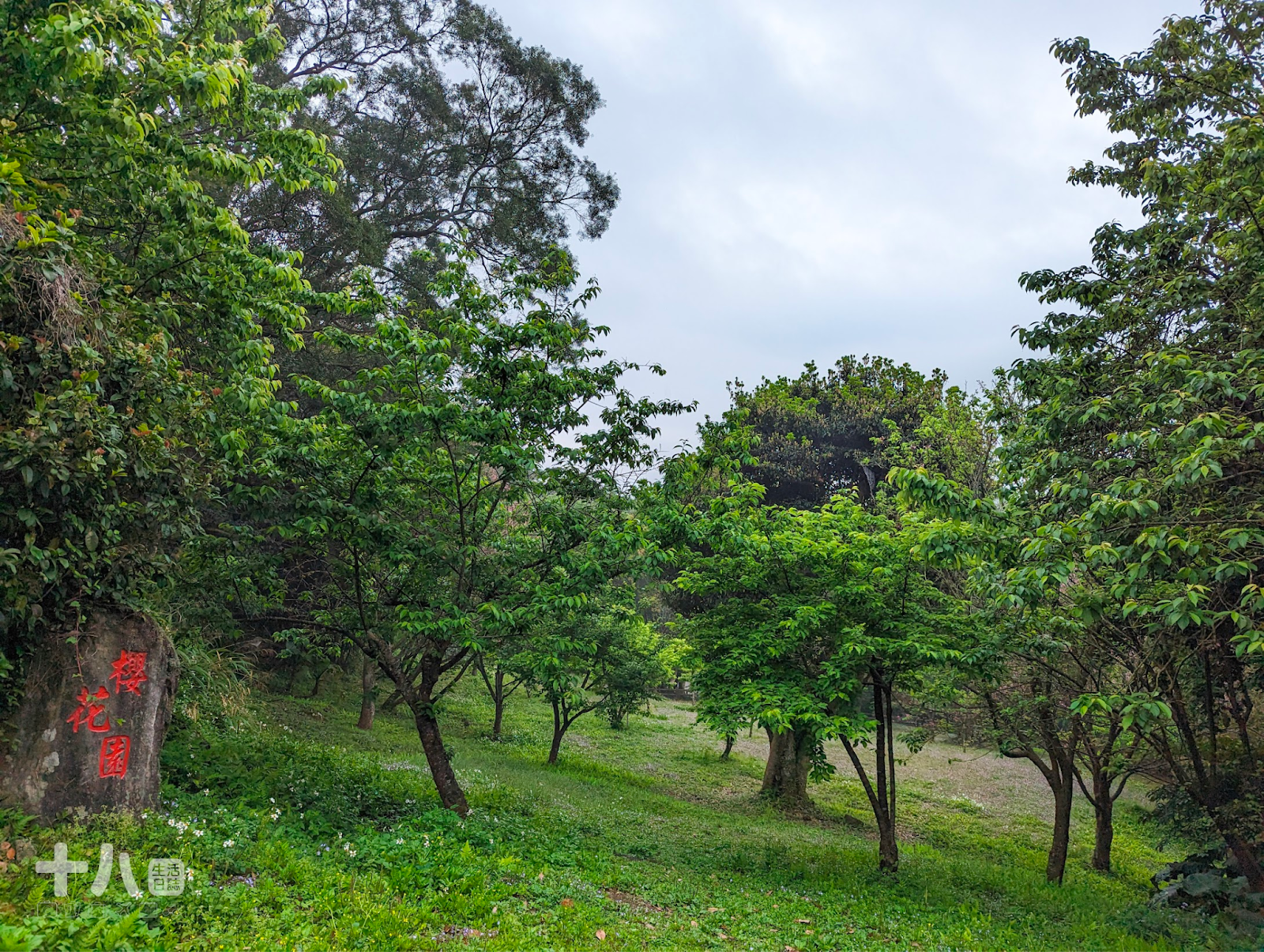 【台北旅遊】趣兒Chill:藍鵲菲菲|在陽明山上享受森活、遠眺台北夜景、體驗豪華露營一泊二食