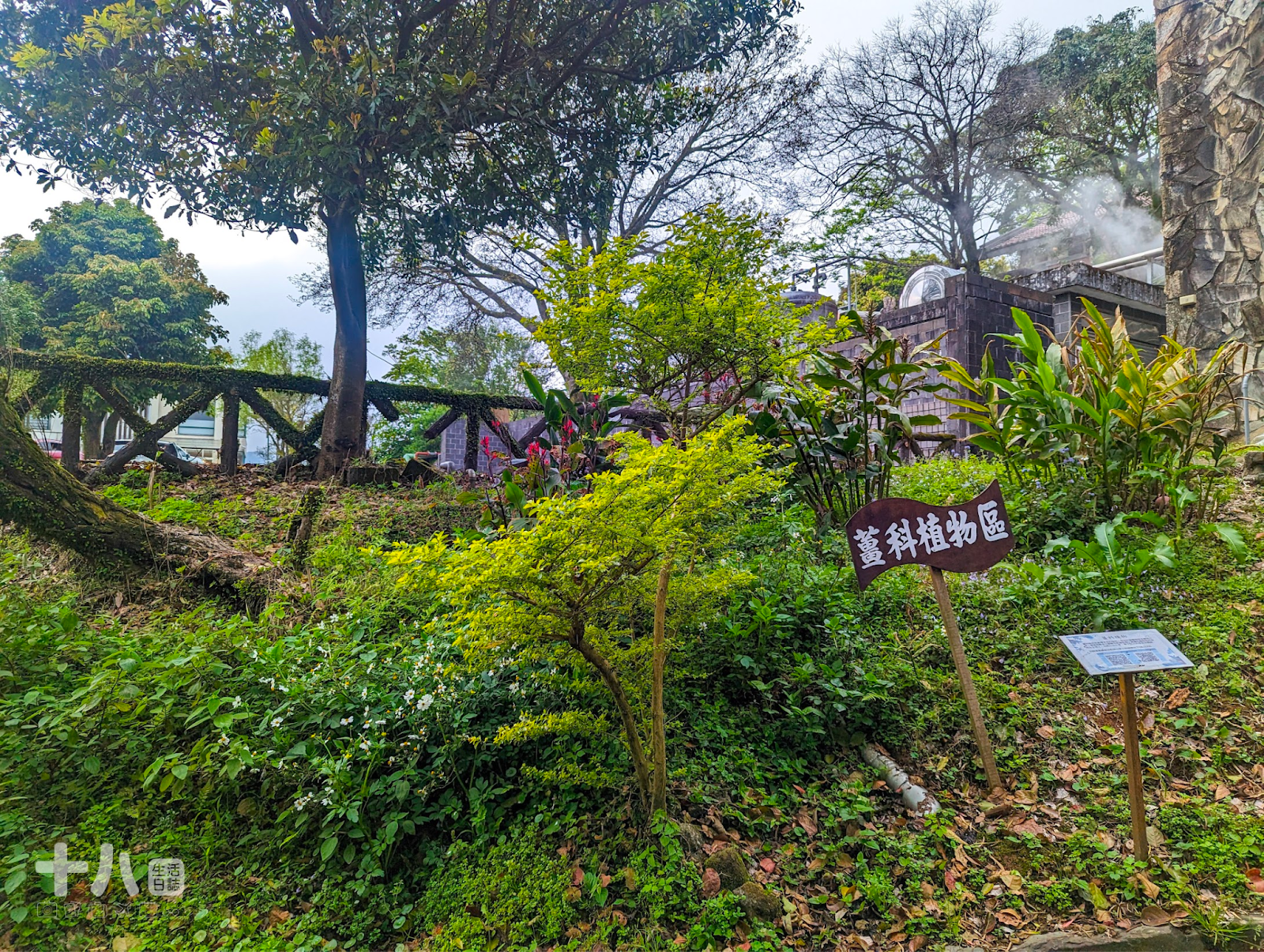 【台北旅遊】趣兒Chill:藍鵲菲菲|在陽明山上享受森活、遠眺台北夜景、體驗豪華露營一泊二食