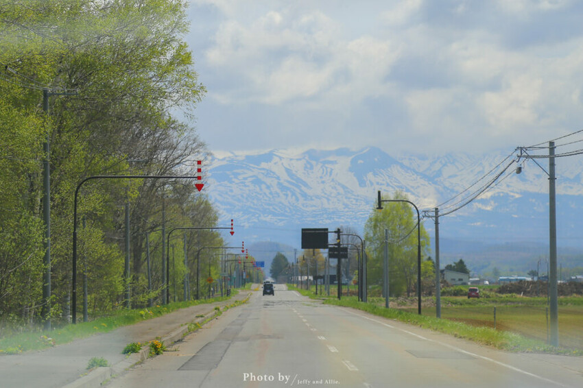 【北海道美瑛】白金青池自駕遊,蘋果桌布背景原來在這!休息站、停車場、交通、美食。