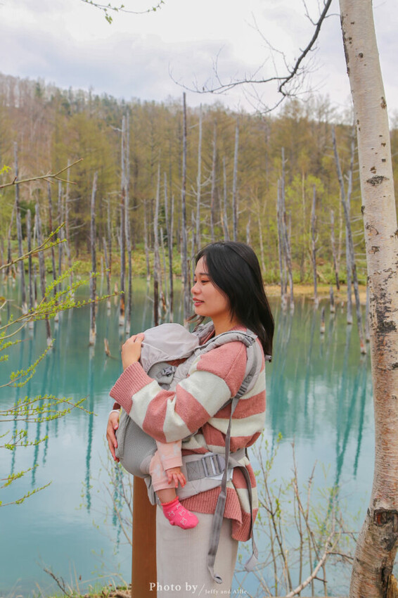 【北海道美瑛】白金青池自駕遊,蘋果桌布背景原來在這!休息站、停車場、交通、美食。