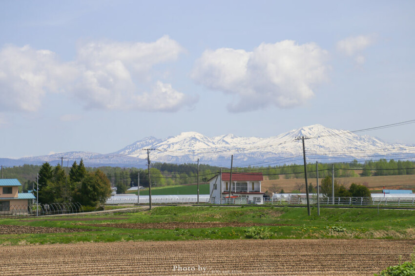 【北海道美瑛】白金青池自駕遊,蘋果桌布背景原來在這!休息站、停車場、交通、美食。