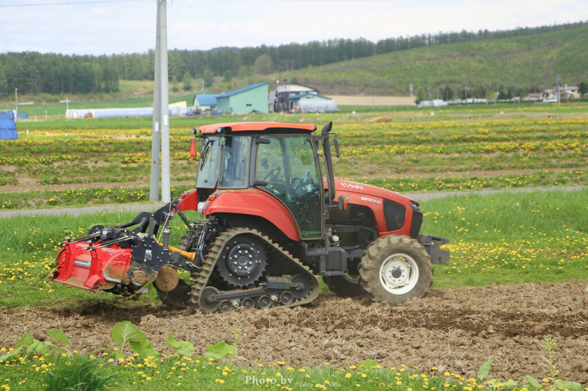 【北海道美瑛】白金青池自駕遊,蘋果桌布背景原來在這!休息站、停車場、交通、美食。