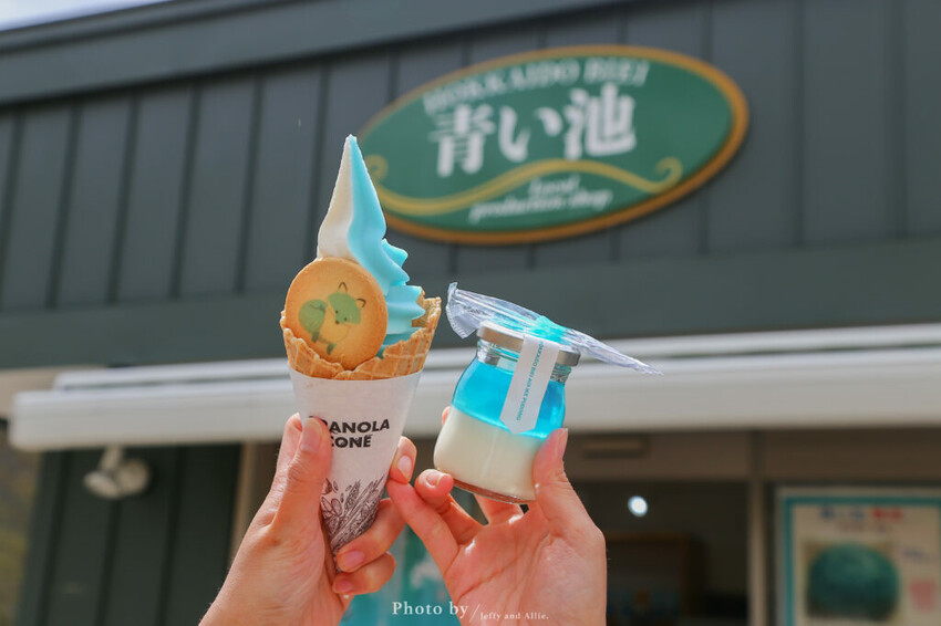 【北海道美瑛】白金青池自駕遊,蘋果桌布背景原來在這!休息站、停車場、交通、美食。