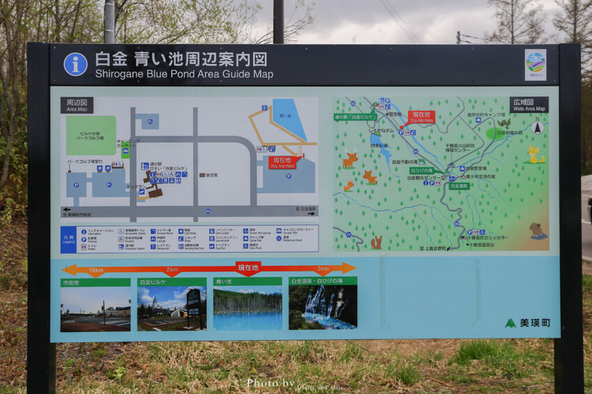 【北海道美瑛】白金青池自駕遊,蘋果桌布背景原來在這!休息站、停車場、交通、美食。