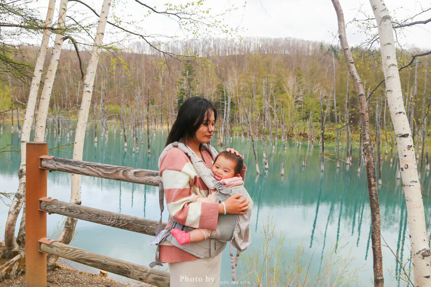 【北海道美瑛】白金青池自駕遊,蘋果桌布背景原來在這!休息站、停車場、交通、美食。