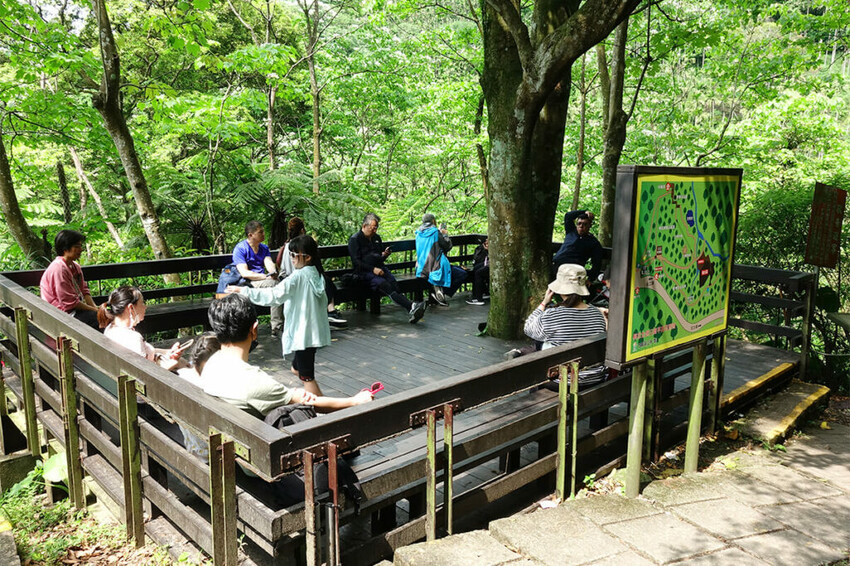 土城桐花公園賞螢