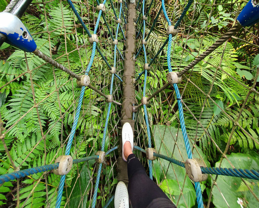 土城桐花公園絕美單人藍色三角吊橋