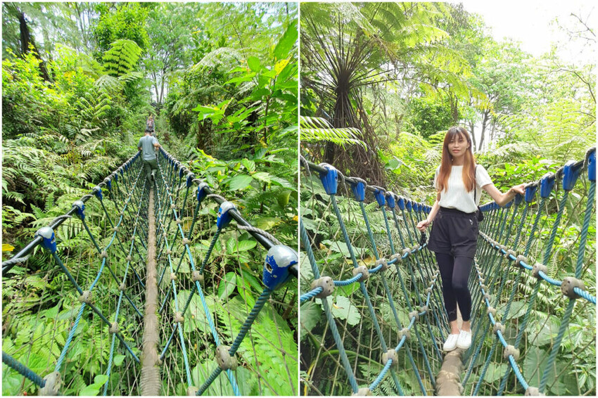 土城賞螢步道吊橋