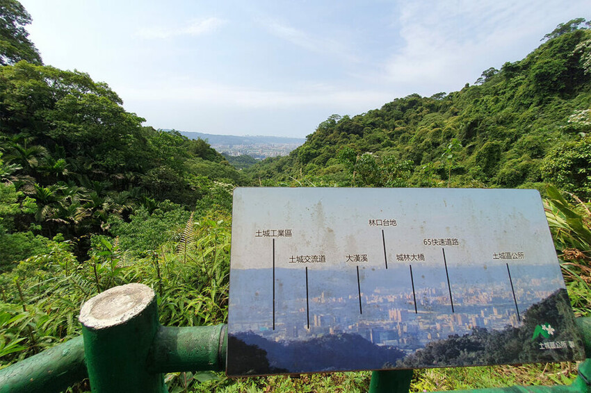 土城桐花公園賞螢