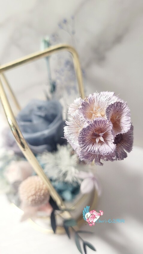 Cher聊音樂-3 慢冷