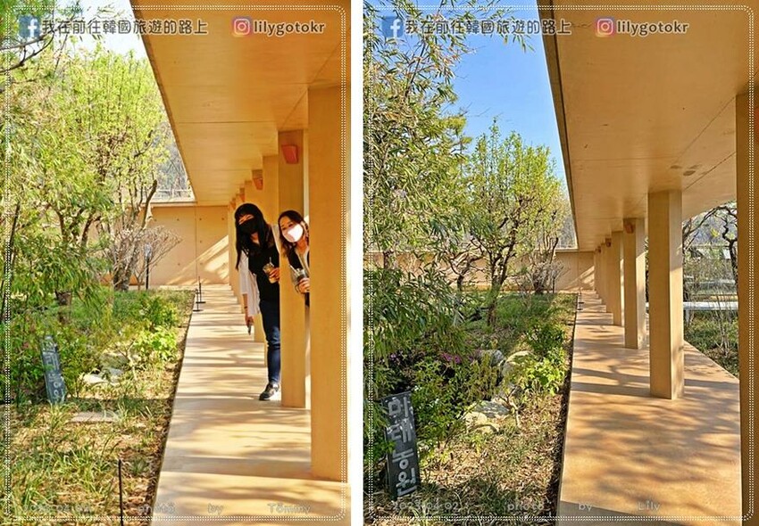 57)大邱．北區｜大邱複合文化中心＆藝術咖啡廳~MRNW(미래농원) @我在前往韓國旅遊的路上