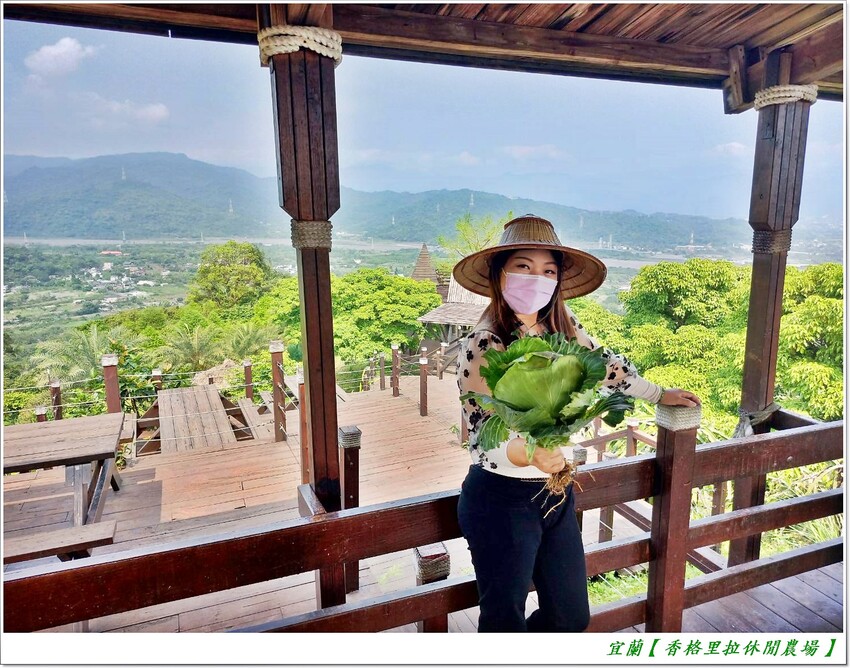 宜蘭【香格里拉休閒農場‧松羅館】田野採菜、狐獴互動餵食體驗、苔蘚生態瓶DIY、傳統童玩以及夜間民俗活動,好宿好玩又有特色餐點跟宵夜,快來入住好好暢玩一番!!