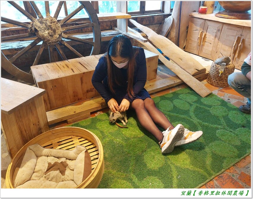 宜蘭【香格里拉休閒農場‧松羅館】田野採菜、狐獴互動餵食體驗、苔蘚生態瓶DIY、傳統童玩以及夜間民俗活動,好宿好玩又有特色餐點跟宵夜,快來入住好好暢玩一番!!