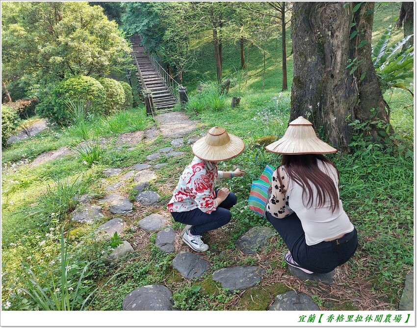宜蘭【香格里拉休閒農場‧松羅館】田野採菜、狐獴互動餵食體驗、苔蘚生態瓶DIY、傳統童玩以及夜間民俗活動,好宿好玩又有特色餐點跟宵夜,快來入住好好暢玩一番!!