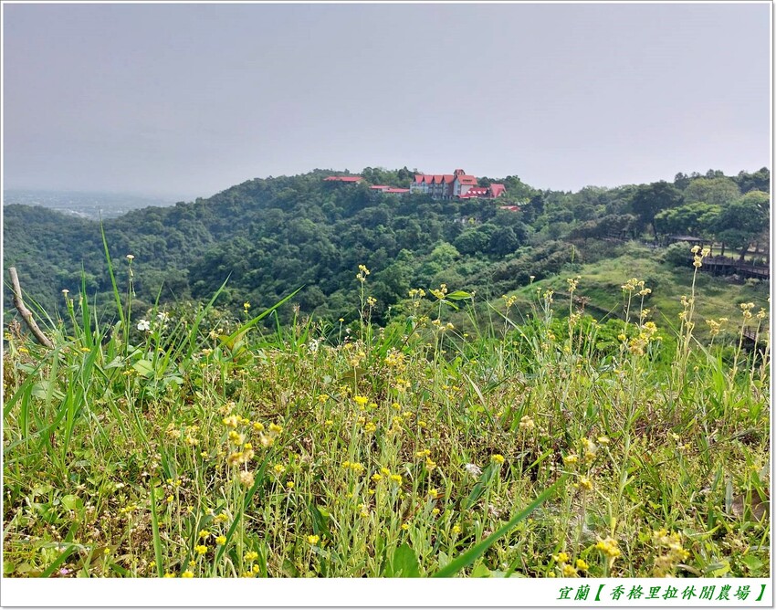宜蘭【香格里拉休閒農場‧松羅館】田野採菜、狐獴互動餵食體驗、苔蘚生態瓶DIY、傳統童玩以及夜間民俗活動,好宿好玩又有特色餐點跟宵夜,快來入住好好暢玩一番!!