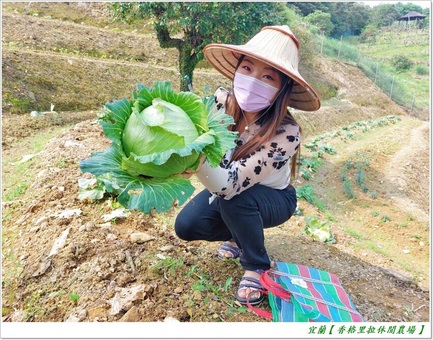 宜蘭【香格里拉休閒農場‧松羅館】田野採菜、狐獴互動餵食體驗、苔蘚生態瓶DIY、傳統童玩以及夜間民俗活動,好宿好玩又有特色餐點跟宵夜,快來入住好好暢玩一番!!