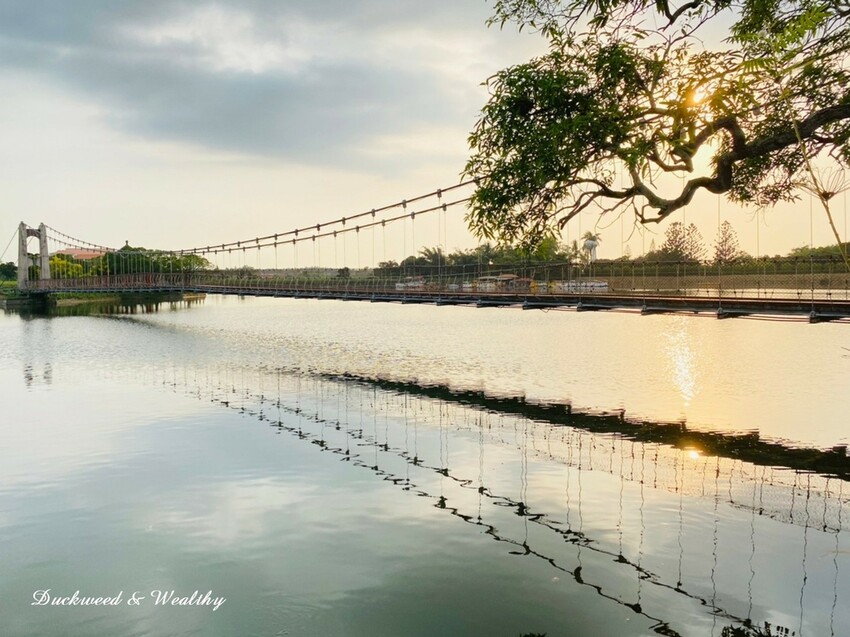  必訪台南自然系景點：虎頭埤風景區/ WalkerLand窩客島整理提供 未經許可不可轉載