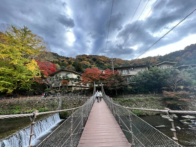 【亞洲，日本，京都】八瀨大原瑠璃光院，一年只開放兩季的絕美京都賞楓點。（京都賞楓，京都旅遊）