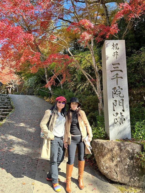 【亞洲,日本,京都】感受京都幽靜之美:四季美景的「三千院」。午餐吃「Shino Shoumon 志野松門」湯豆腐。