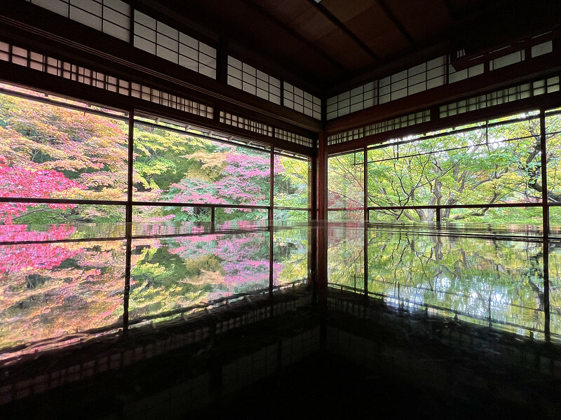 【亞洲，日本，京都】八瀨大原瑠璃光院，一年只開放兩季的絕美京都賞楓點。（京都賞楓，京都旅遊）