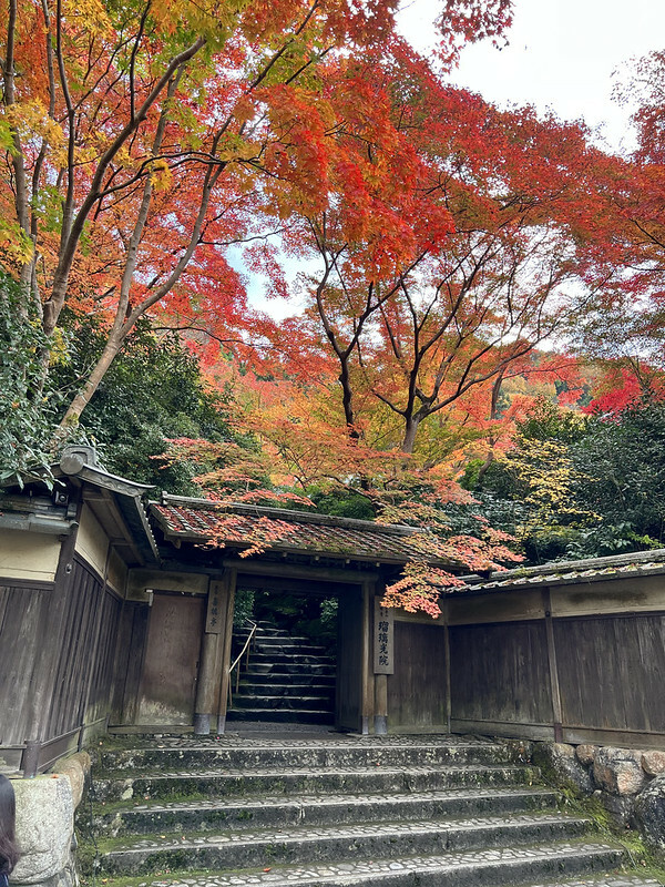 【亞洲，日本，京都】八瀨大原瑠璃光院，一年只開放兩季的絕美京都賞楓點。（京都賞楓，京都旅遊）