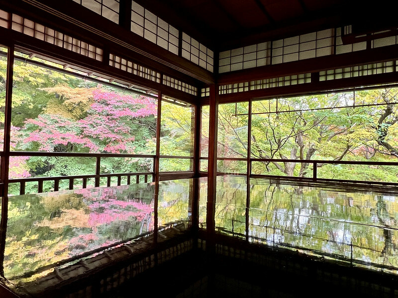 【亞洲，日本，京都】八瀨大原瑠璃光院，一年只開放兩季的絕美京都賞楓點。（京都賞楓，京都旅遊）