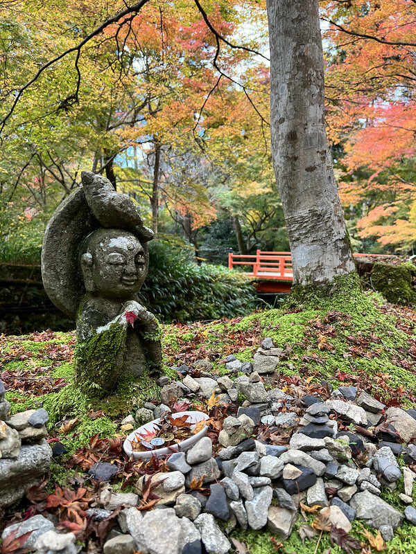 【亞洲,日本,京都】感受京都幽靜之美:四季美景的「三千院」。午餐吃「Shino Shoumon 志野松門」湯豆腐。