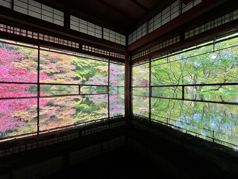 【亞洲，日本，京都】八瀨大原瑠璃光院，一年只開放兩季的絕美京都賞楓點。（京都賞楓，京都旅遊）