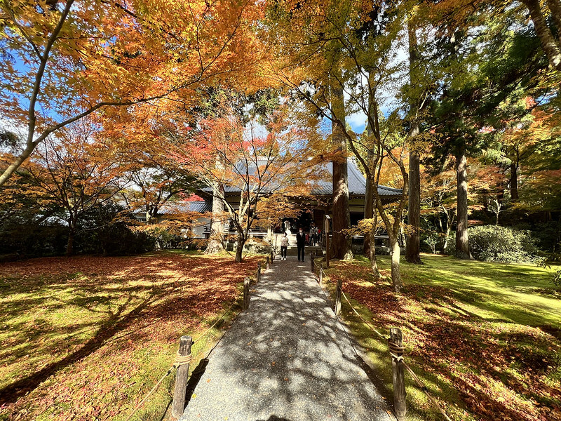 【亞洲,日本,京都】感受京都幽靜之美:四季美景的「三千院」。午餐吃「Shino Shoumon 志野松門」湯豆腐。