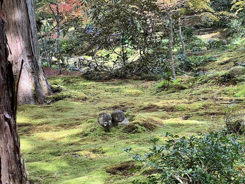 【亞洲,日本,京都】感受京都幽靜之美:四季美景的「三千院」。午餐吃「Shino Shoumon 志野松門」湯豆腐。