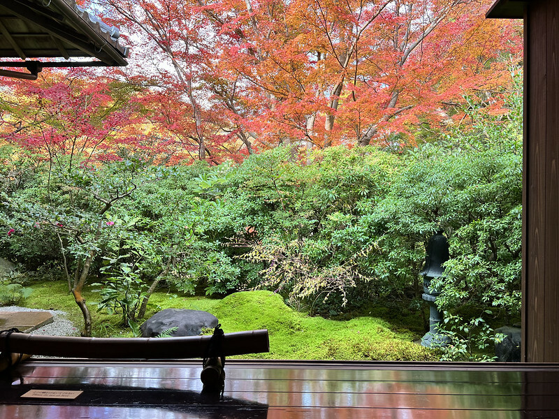 【亞洲，日本，京都】八瀨大原瑠璃光院，一年只開放兩季的絕美京都賞楓點。（京都賞楓，京都旅遊）