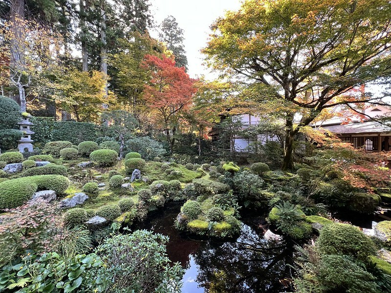 【亞洲,日本,京都】感受京都幽靜之美:四季美景的「三千院」。午餐吃「Shino Shoumon 志野松門」湯豆腐。