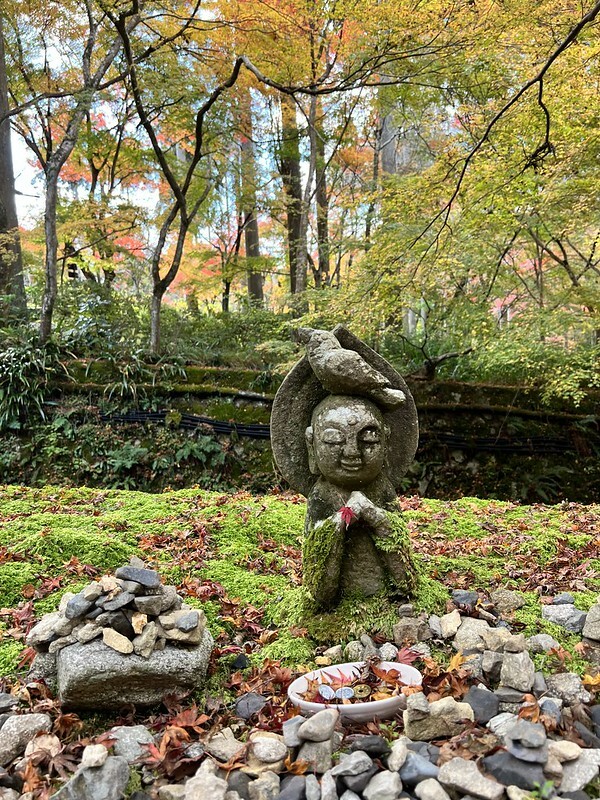 【亞洲,日本,京都】感受京都幽靜之美:四季美景的「三千院」。午餐吃「Shino Shoumon 志野松門」湯豆腐。