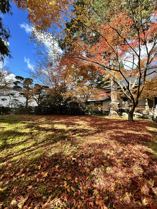 【亞洲,日本,京都】感受京都幽靜之美:四季美景的「三千院」。午餐吃「Shino Shoumon 志野松門」湯豆腐。