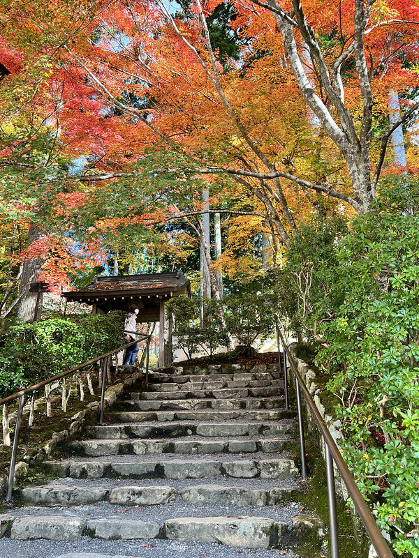 【亞洲,日本,京都】感受京都幽靜之美:四季美景的「三千院」。午餐吃「Shino Shoumon 志野松門」湯豆腐。