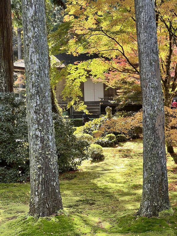 【亞洲,日本,京都】感受京都幽靜之美:四季美景的「三千院」。午餐吃「Shino Shoumon 志野松門」湯豆腐。